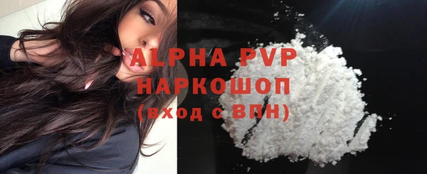 стаф Алексин