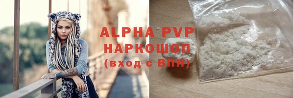 стаф Алексин