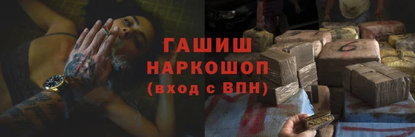 стаф Алексин