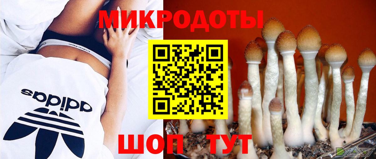 Галлюциногенные грибы MAGIC MUSHROOMS Абинск