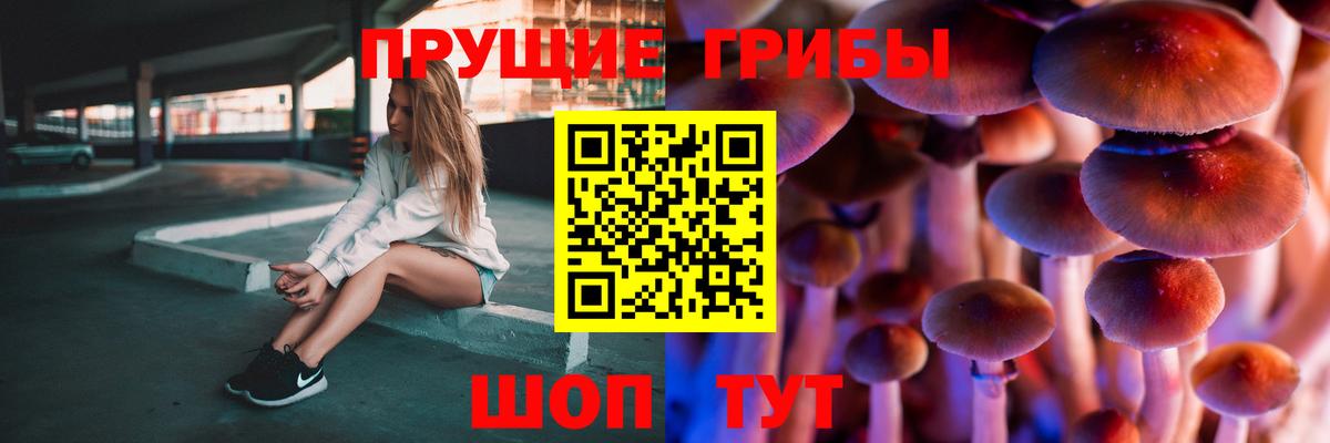 Галлюциногенные грибы Cubensis  Псилоцибиновые грибы прущие грибы  Вход с VPN  Абинск 